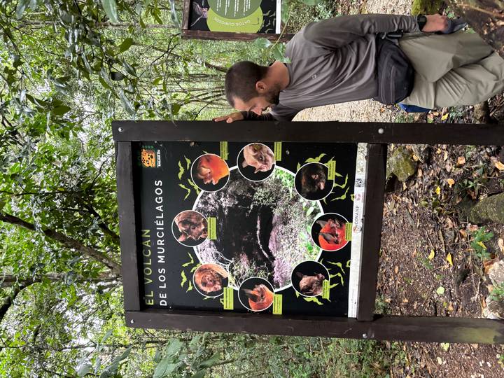 Guide gestures toward an educational signboard about bats at El Volcán de los Murciélagos in the jungle.