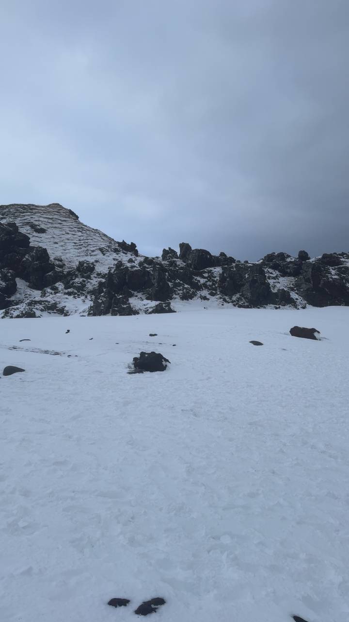 Snow-covered volcanic landscape dotted with dark lava rocks beneath an overcast sky.