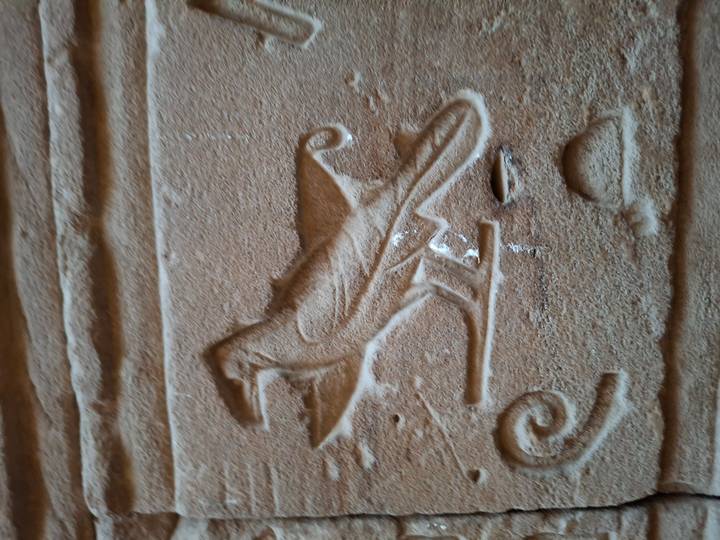 Close-up of a bird hieroglyph carved into sandstone, highlighting ancient Egyptian craftsmanship.