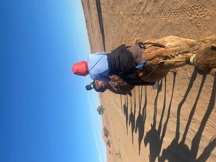 Travellers riding camels in single file across a sun-baked desert track under a deep blue sky