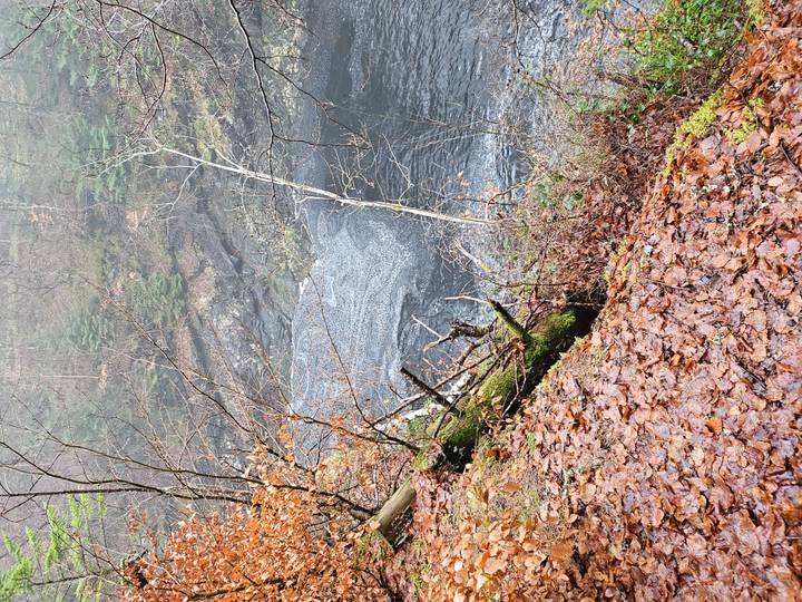 Foggy gorge with autumn leaves and dark swirling river far below