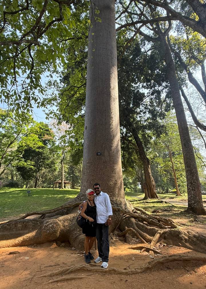 Repeat image – couple at the trunk of a giant tree in a Sri Lankan garden