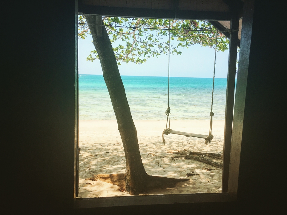 A swing hanging from a tree on a sandy beach, overlooking the ocean.