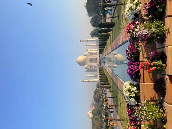 Symmetrical view of the Taj Mahal reflected in its long pool bordered by blooming flowers under clear blue skies