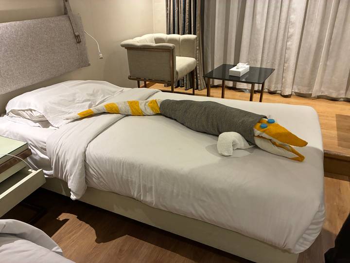 Fun towel sculpture shaped like a crocodile rests on hotel bed linens