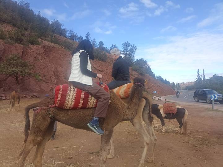 Travellers seated on camel backs beside a winding mountain road preparing for ride