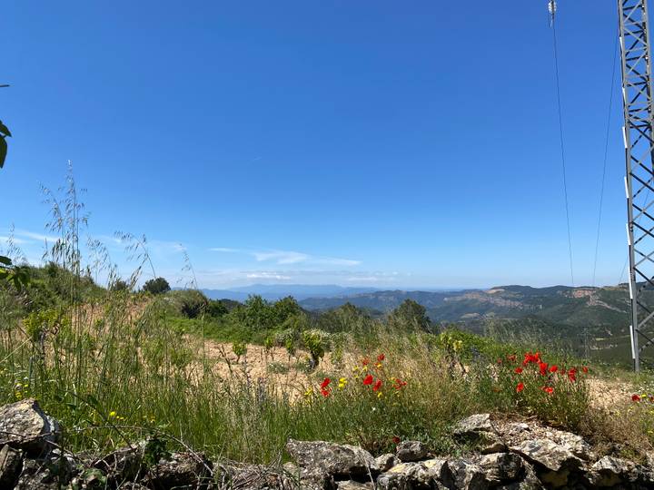 Mountainous countryside with wildflowers and distant hazy ranges under a clear sky