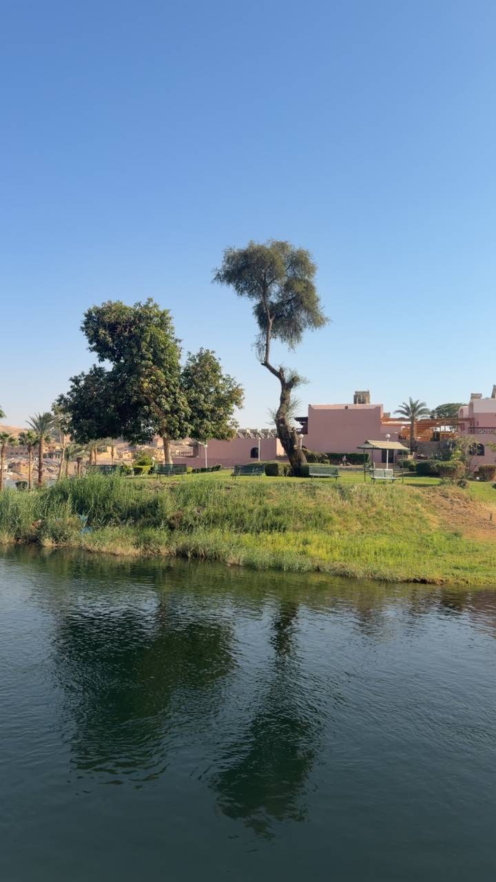 Pink riverside buildings and green lawns beside calm Nile water under clear sky