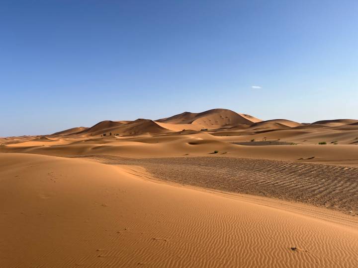 Vast undulating orange sand dunes under a clear blue desert sky.