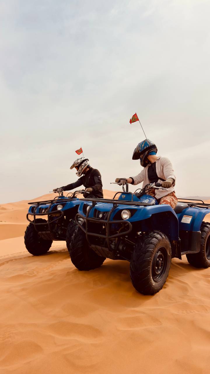 Side view of two adventurers on quad bikes pausing atop golden sand dunes.
