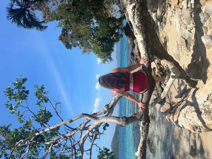 Traveller seated on a driftwood branch over clear turquoise water of a tropical island.