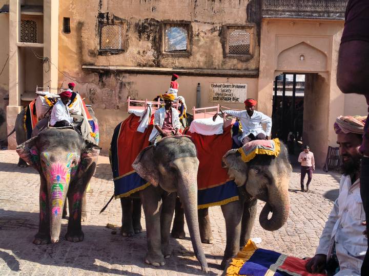 Colorfully decorated elephants with riders outside a fort entrance in Rajasthan