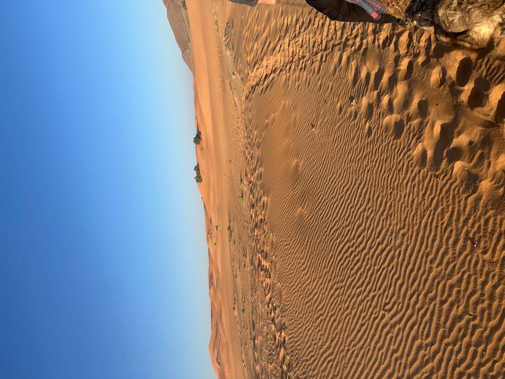 Expansive orange sand dunes with rippled textures under a bright blue desert sky.
