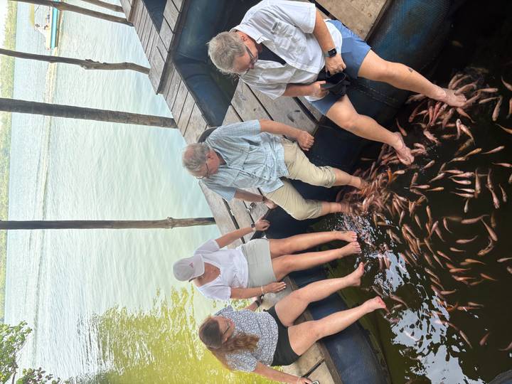 Travellers sit on floating platform receiving fish spa treatment in calm lagoon.