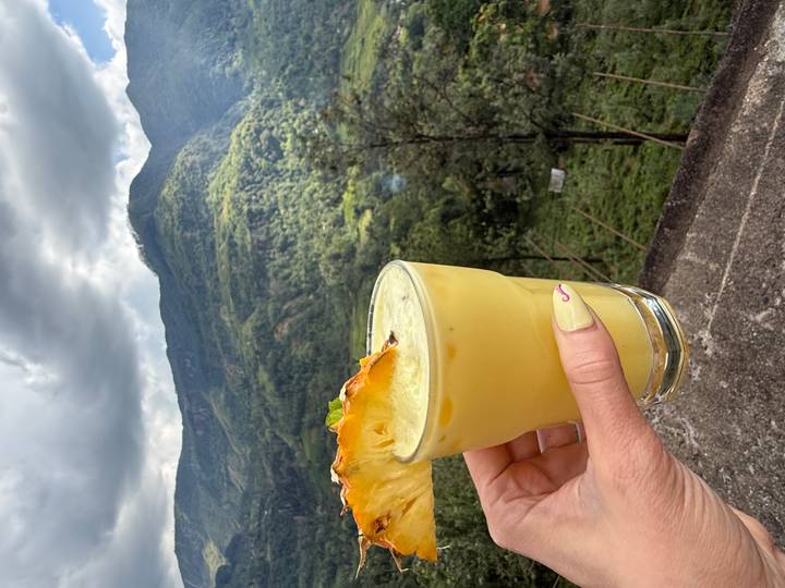 Hand holding a fresh pineapple juice against a backdrop of lush green mountains and valleys in Sri Lanka.