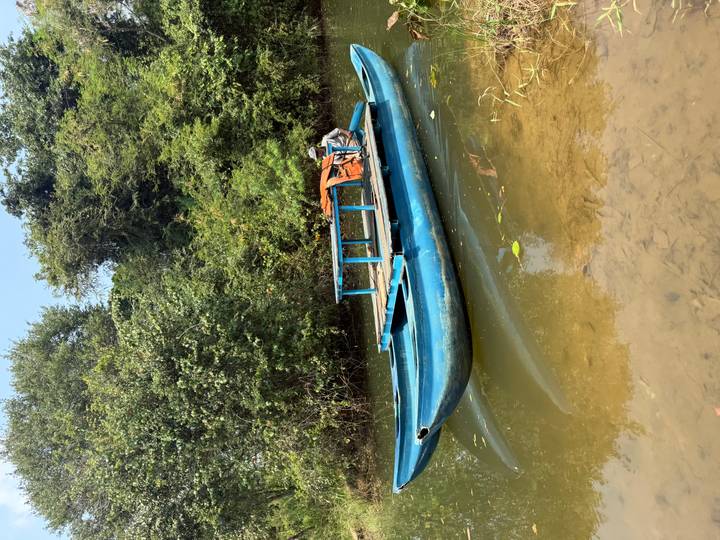 Small blue wooden boat with a seated rower gliding through a calm jungle river.