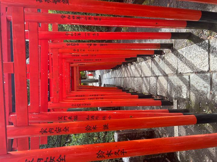 Endless corridor of vermillion torii gates creates a tunnel over a narrow stone path at Fushimi Inari Shrine.