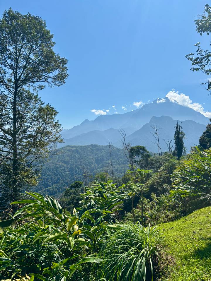 Layers of misty ridges lead up to majestic Mount Kinabalu above tropical forest.