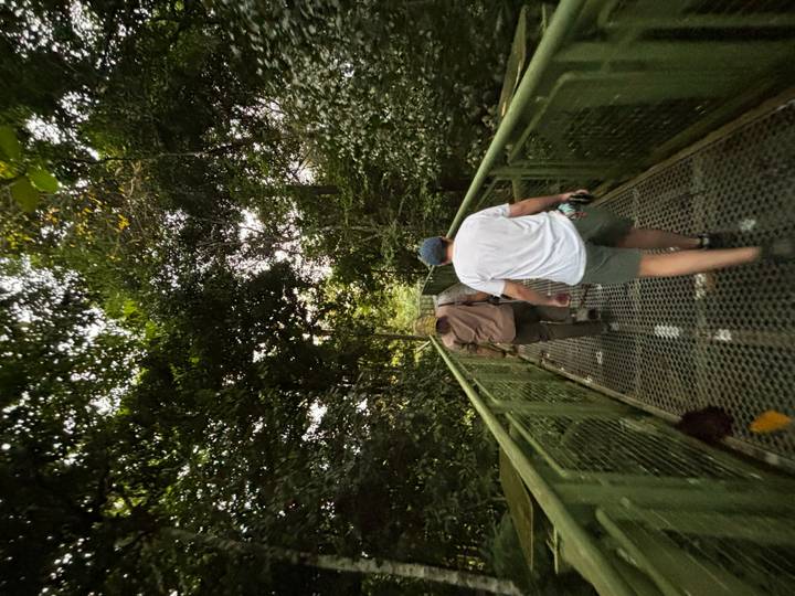 Two travellers walk an elevated metal walkway through dense evening jungle.