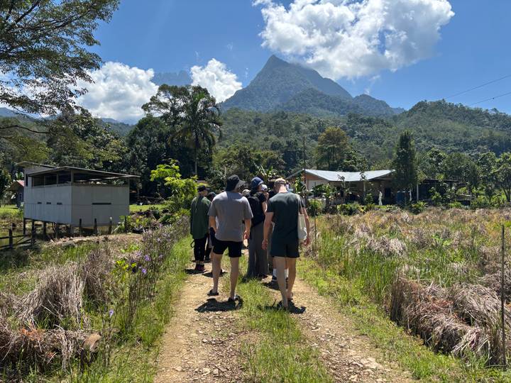 Group of hikers wander a rural track towards forested mountains under a clear sky.