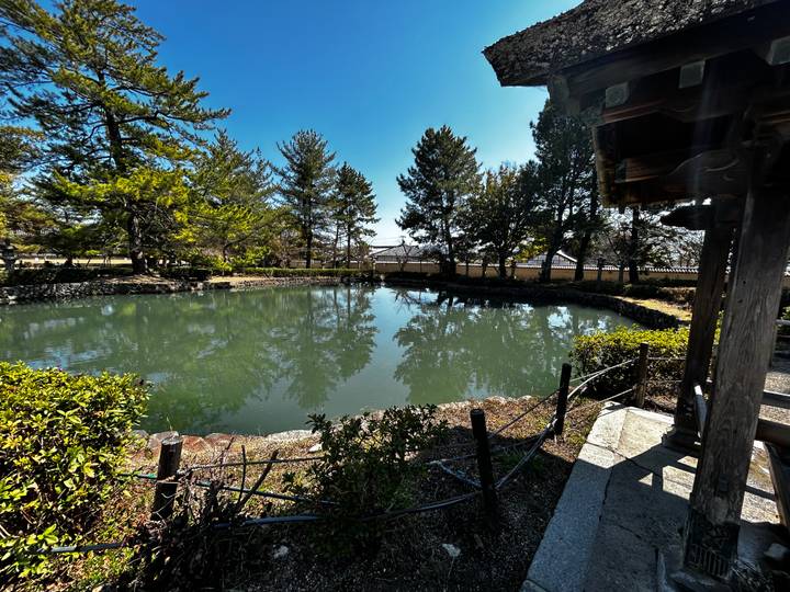 Quiet temple pond with greenish water surrounded by trees and low walls under clear sky.