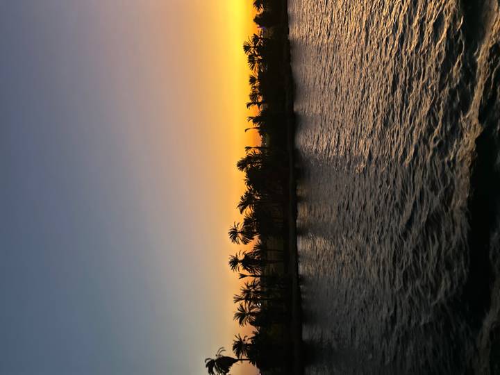 Palm-lined Nile riverbank at sunset with golden sky reflecting on the water.