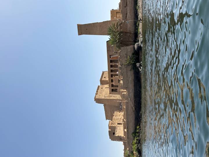 Ancient Philae Temple complex viewed from the water with palm trees and stone walls.