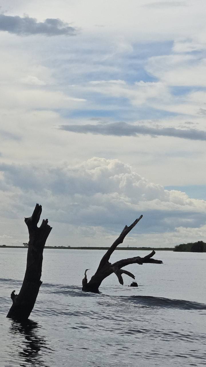 Dramatic cloud formations above broken tree trunks in an open plain