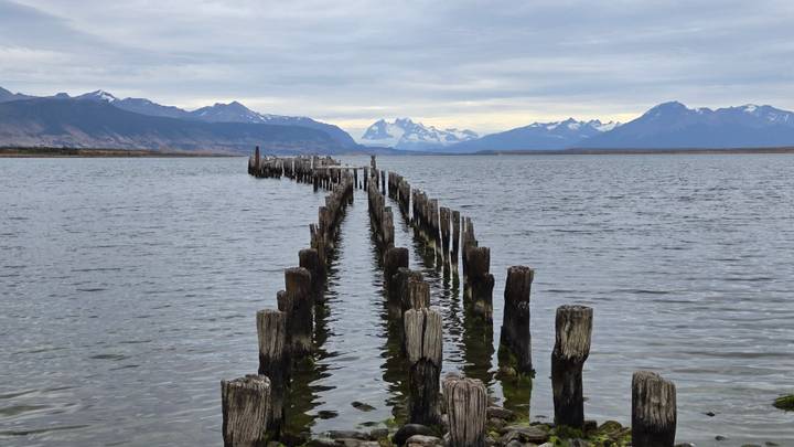 Old wooden pier pilings leading into vast Patagonian lake with snowy mountains afar