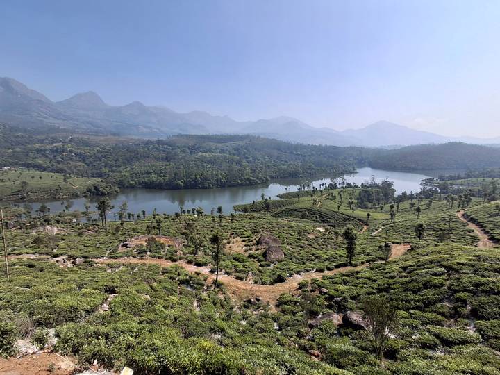 Scenic lake surrounded by lush green tea estates and misty mountain backdrop near Munnar.