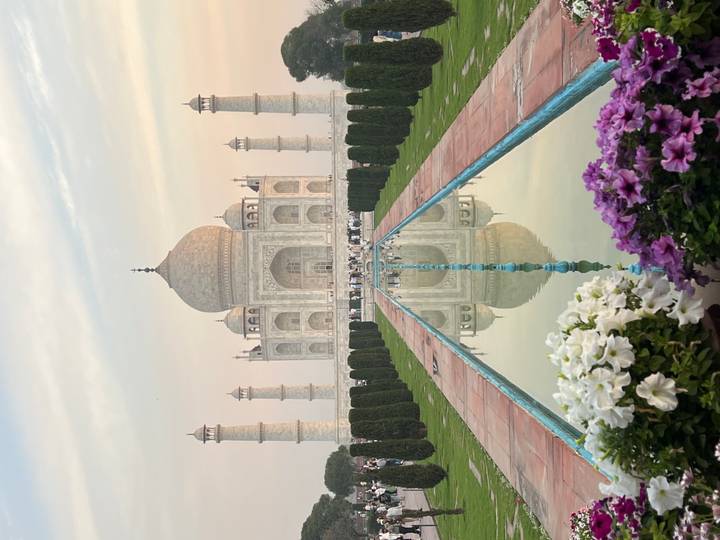 Iconic view of the Taj Mahal mirrored in its long reflecting pool, framed by blooming flowers at soft sunset light.
