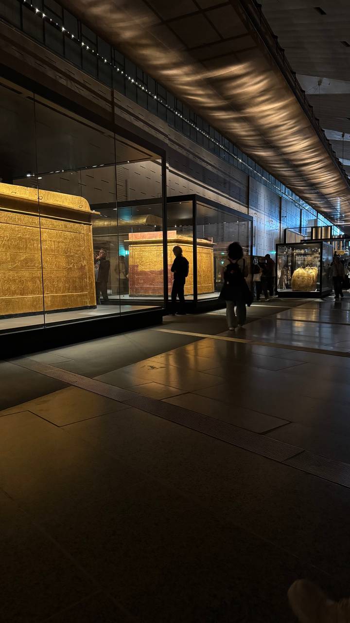 Visitors study gilded sarcophagi and relics in glass cases inside a modern dimly lit museum hall