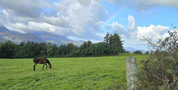 A lone brown horse grazes on a lush green pasture with trees, distant mountains and a faint rainbow under partly cloudy skies.
