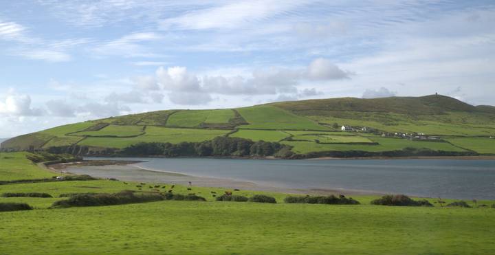 Rolling green patchwork hills meeting a calm bay under blue skies with scattered clouds.
