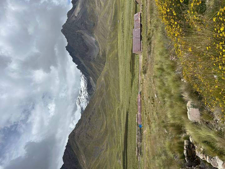 Grassy plain with wildflowers leading to rugged peaks capped in fresh snow beneath a cloudy sky.