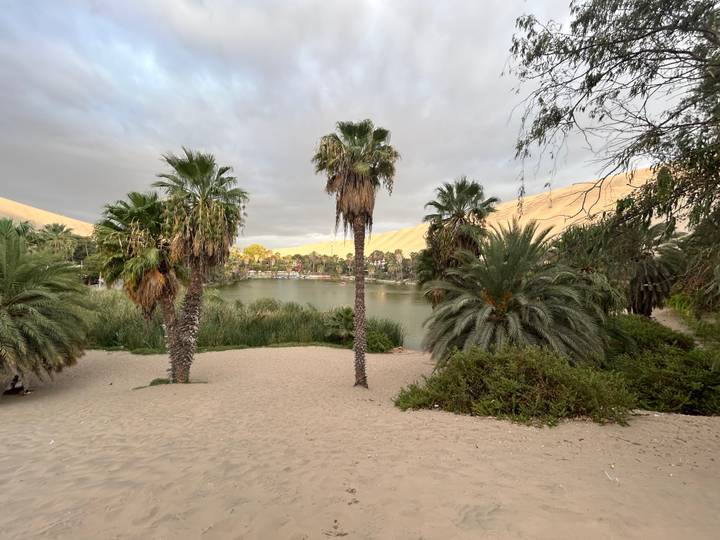 Palm-fringed oasis lagoon surrounded by desert dunes under an overcast sky.