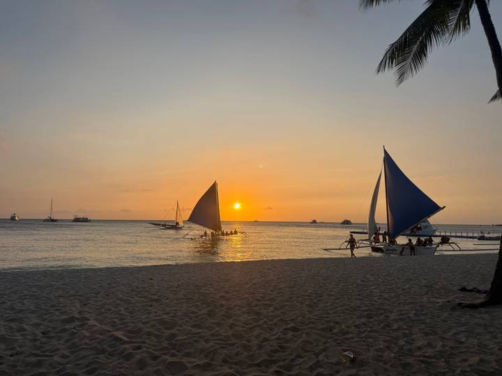 Traditional sailboats glide across calm sea as the sun sets in a golden sky over a sandy beach.