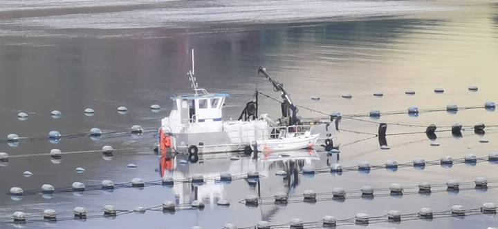 Small work boat moored among rows of floating buoys on a calm bay.
