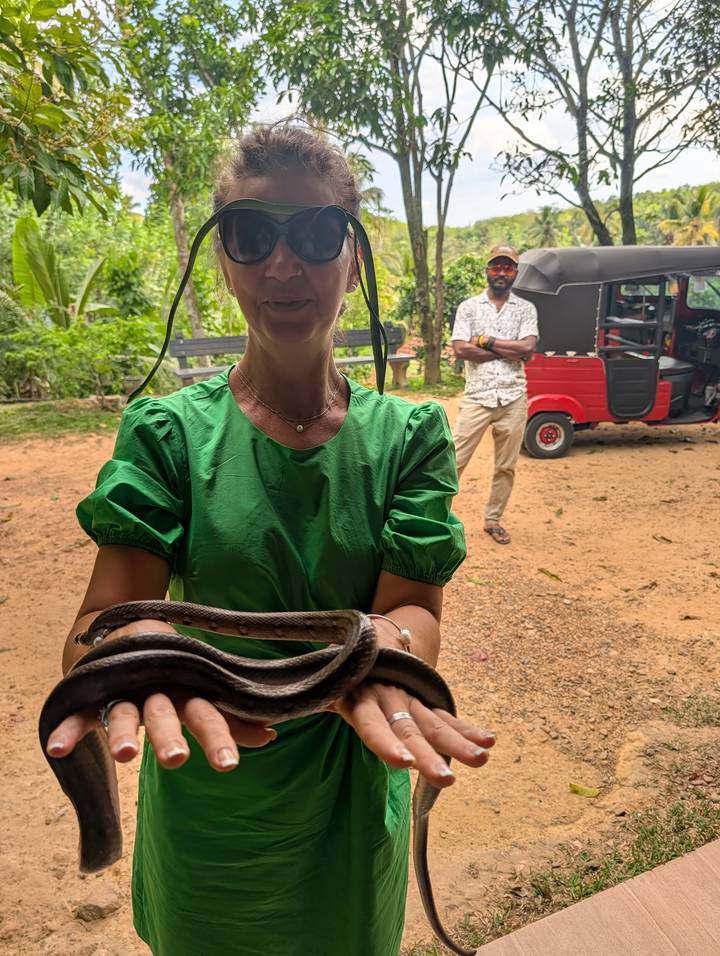 Woman wearing green top carefully holds a small snake while another person watches near a tuk-tuk.