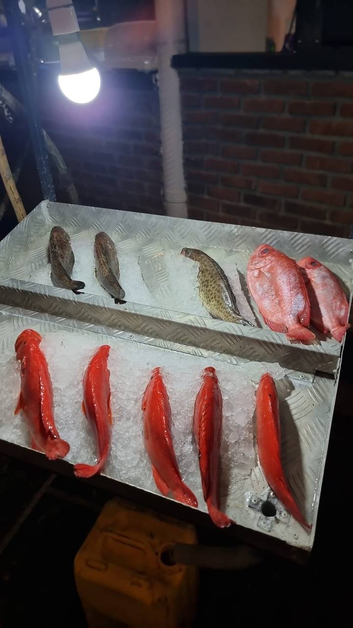 Selection of fresh fish laid on crushed ice at a seafood stall