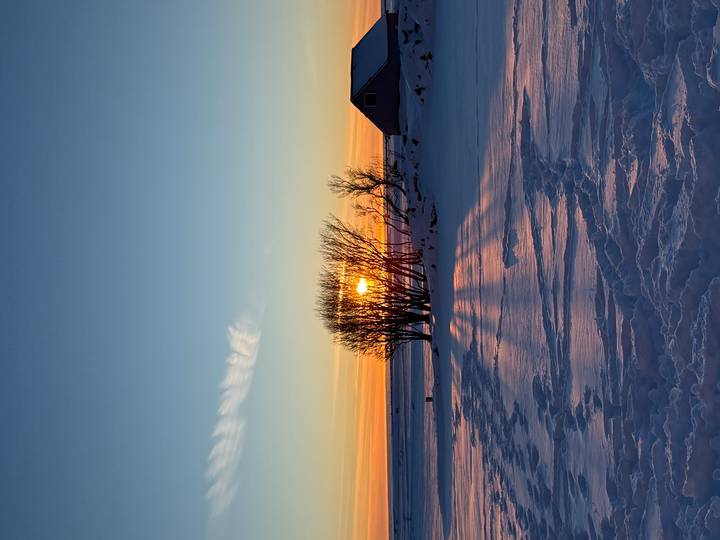 Orange winter sunrise casting long shadows over a snowy plain with a cluster of bare trees and a small cabin.