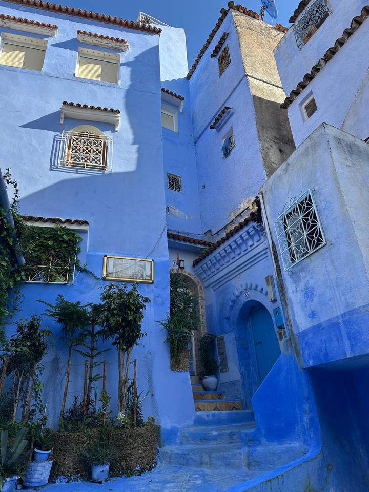 Typical indigo-blue walls, doors and windows of Chefchaouen’s old town with climbing plants.