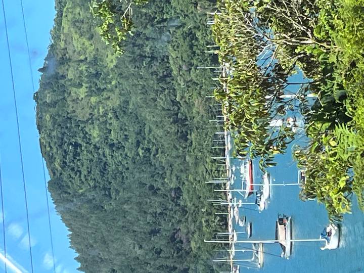 Bright turquoise bay dotted with yachts beneath a densely forested hill on Ilha Grande.