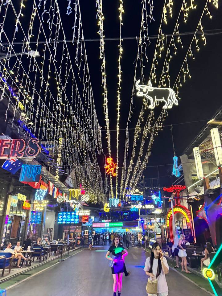 Vibrant night street scene with hanging string lights and neon animal signs.
