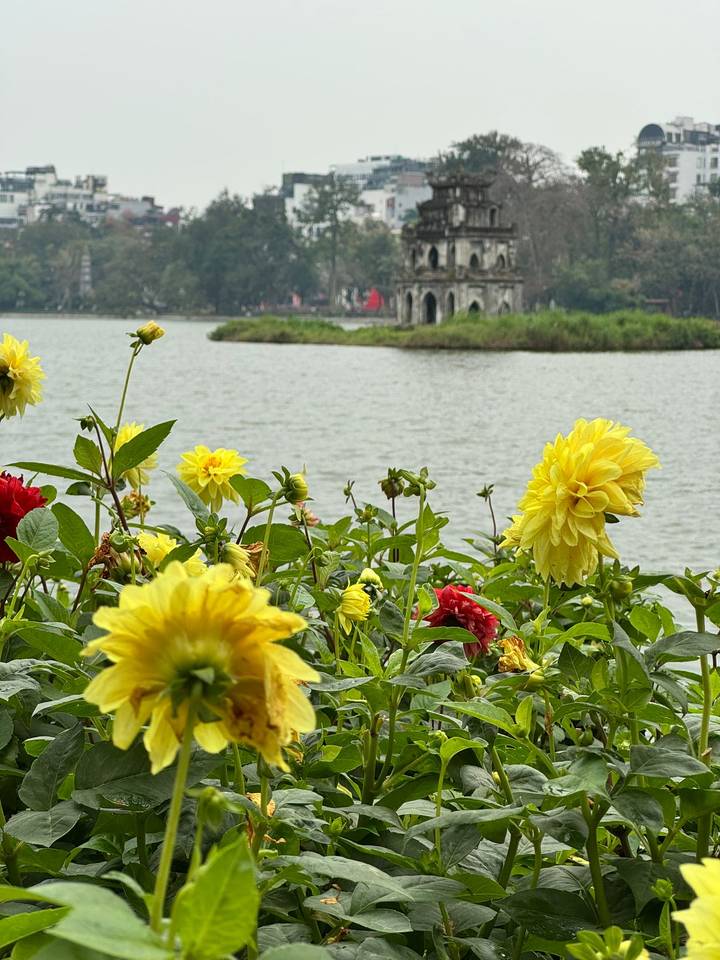 Yellow flowers in the foreground with Turtle Tower on a small island in the middle of a lake.