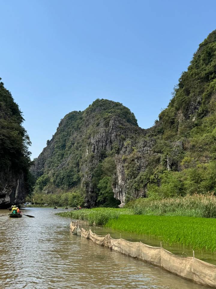 Sun-lit limestone cliffs cloaked in greenery against a clear blue sky.
