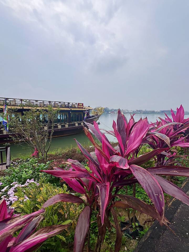 Decorative dragon boat moored on a placid river framed by tropical plants on a hazy day.