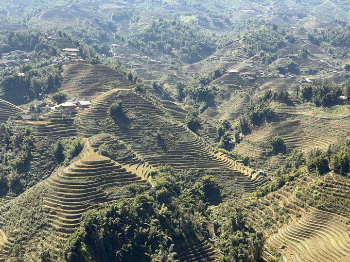 Expansive view of green terraced rice fields cascading down mountain slopes