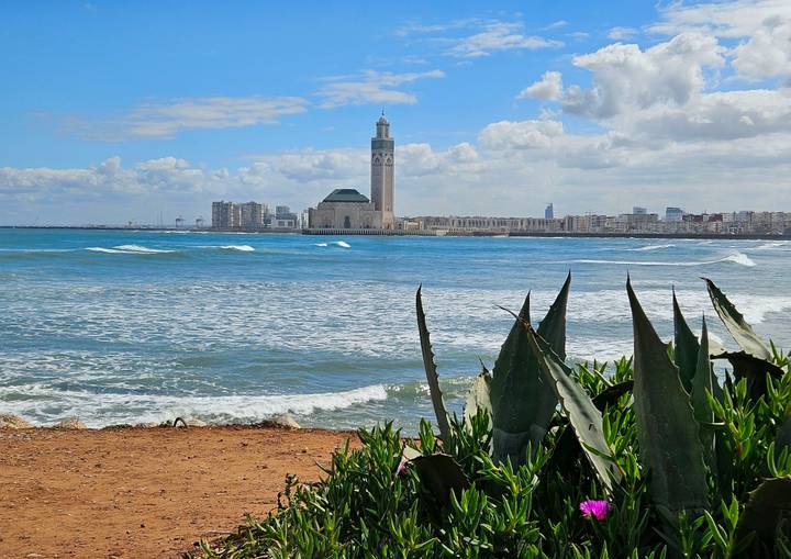 Coastal view of Casablanca skyline with Hassan II Mosque rising above waves and agave plants in foreground.