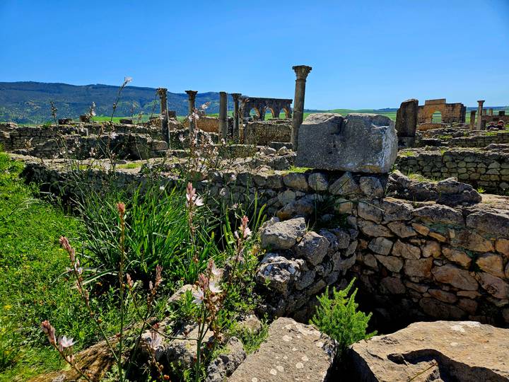 Sun-lit Roman ruins with standing columns and stone walls amid green grass and distant hills.